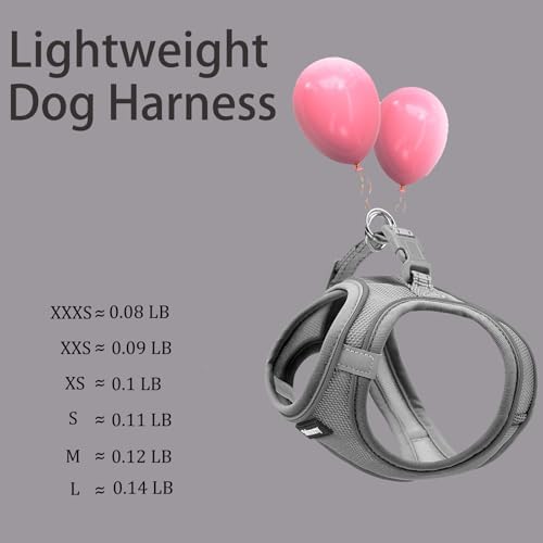 Solmoony Sparkly XS Dog Harness and Leash Set, Step in Soft Light Puppy Vest - Image 5