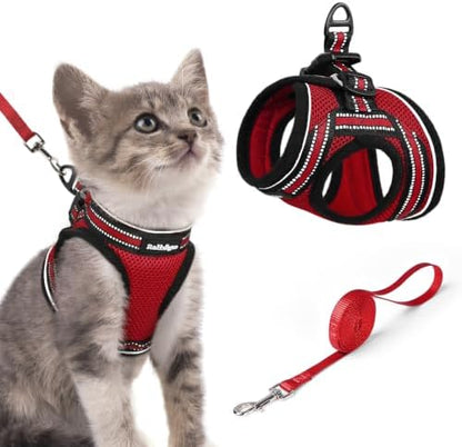 rabbitgoo Cat Harness and Leash Set, Step-in Soft Vest by rabbitgoo