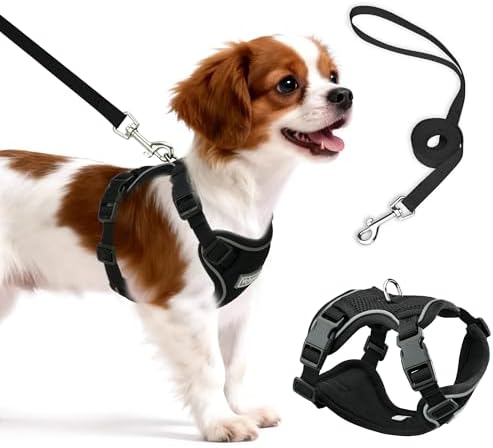 Small Dog Harness and Leash Set, Adjustable Small Sized Pet Vest by Unknown