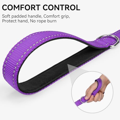 Joytale Reflective Dog Leash for Small Dogs, 5 FT x 3/4" - Image 3