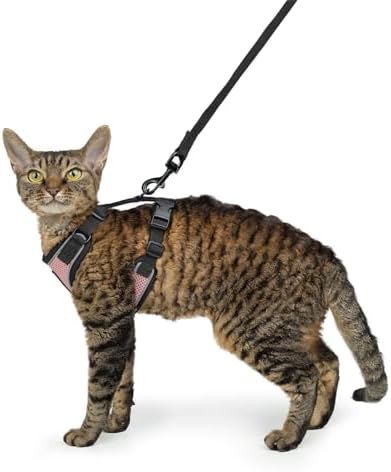 Voyager Step-in Lock Cat Harness & Leash Set - Image 6