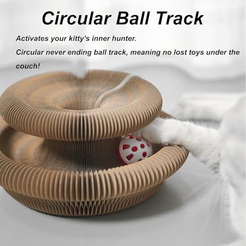 Kitty Curls Cat Toy, Cardboard Cat Scratcher, Magic Organ Cat Toy, Foldable - Image 5