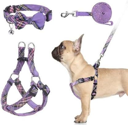 BINGPET No Pull Dog Harness Leash Collar Set, Adjustable Step-in Vest by BINGPET