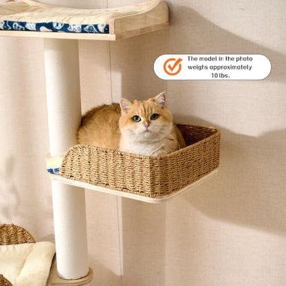 SHENGOCASE Ladder Cat Tree for Wall - Image 2
