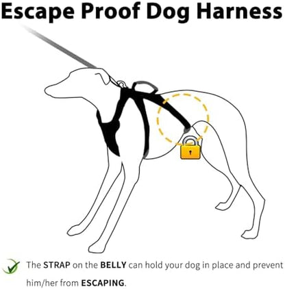 Huntboo Escape Proof Dog Harness, No Pull Reflective Harness - Image 2