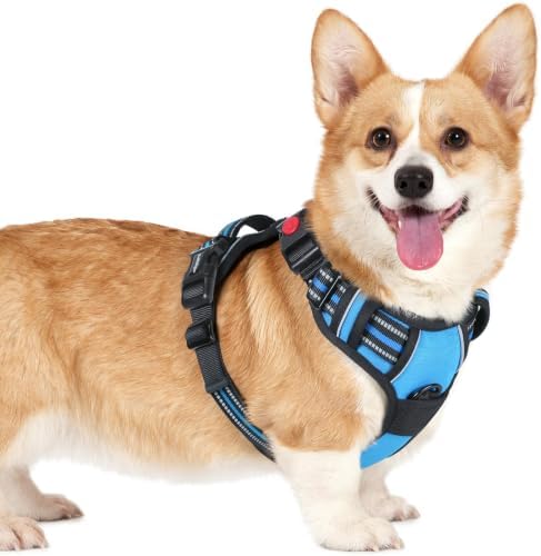 rabbitgoo Dog Harness Small Sized, Updated Easy On & Off by rabbitgoo