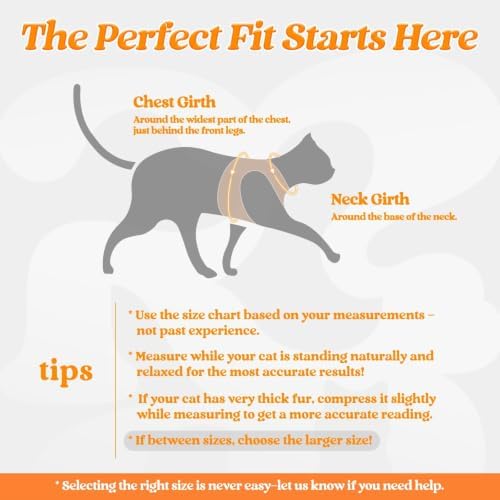 rabbitgoo Cat Harness and Leash Set, Step-in Soft Vest - Image 2