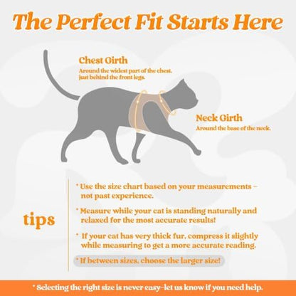 rabbitgoo Cat Harness and Leash Set, Step-in Soft Vest - Image 2