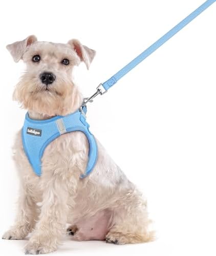 rabbitgoo Dog Harness Medium Sized and Leash Set, Step-in Puppy Pet Vest by rabbitgoo