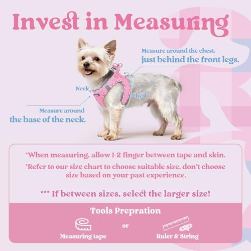 rabbitgoo Step-in Small Dog Harness, Puppy Vest - Image 2