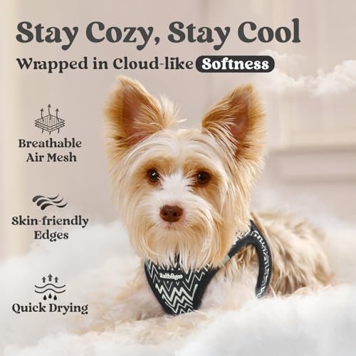 rabbitgoo Step-in Small Dog Harness, Puppy Vest - Image 3