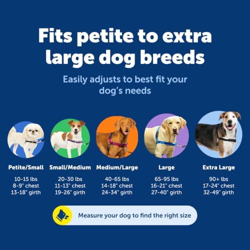 PetSafe Easy Walk Harness, No Pull Dog Harness, Medium/Large - Image 5