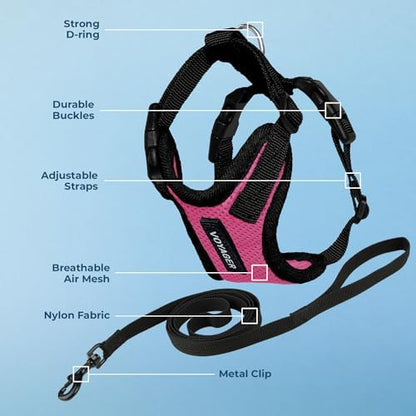 Voyager Step-in Lock Cat Harness & Leash Set - Image 3