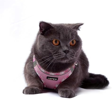 AMTOR Small Dog Harness with Leash Set, No Escape Easy Walk Puppy Harnesses - Image 5