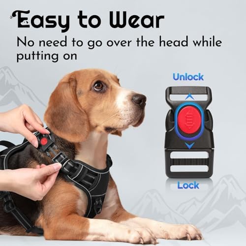 Eagloo Dog Harness No Pull for Large Dogs, Easy On & Off - Image 2