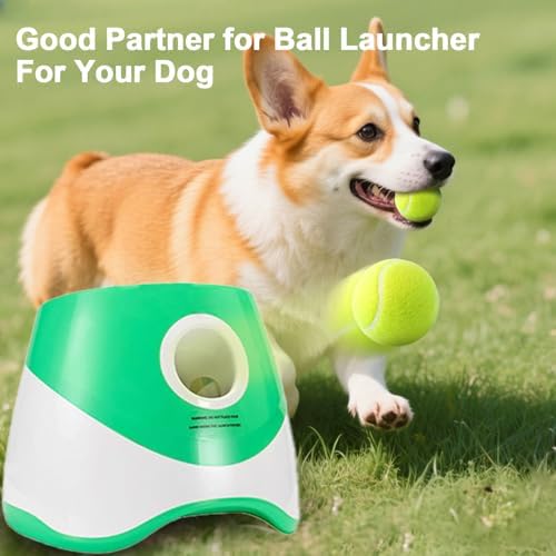 10 Pack 2-inch Dog Tennis Toys, Pet Play Balls, Refill - Image 5