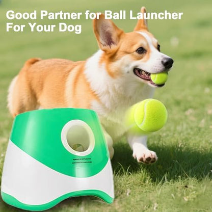10 Pack 2-inch Dog Tennis Toys, Pet Play Balls, Refill - Image 5