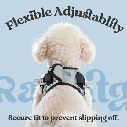 rabbitgoo Dog Harness Small Sized and Leash Set, Step in Soft Vest - Image 6