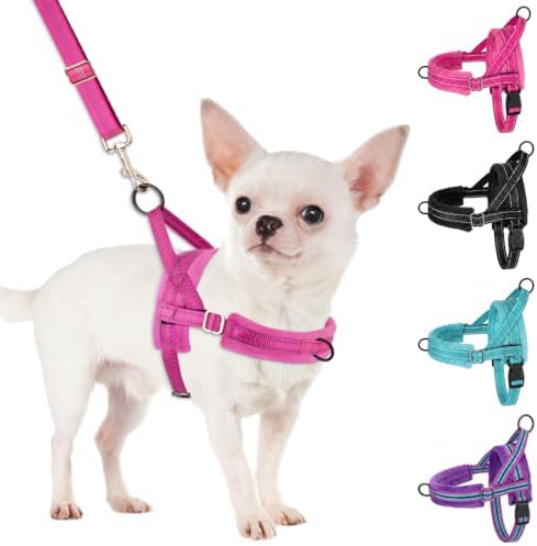 SlowTon No Pull Small Dog Harness and Leash Set by SlowTon