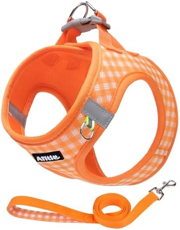AIITLE Step in Medium Dog Harness and Leash Set, Puppy Pet Vest by AIITLE-FORPETSBETTERLIFE