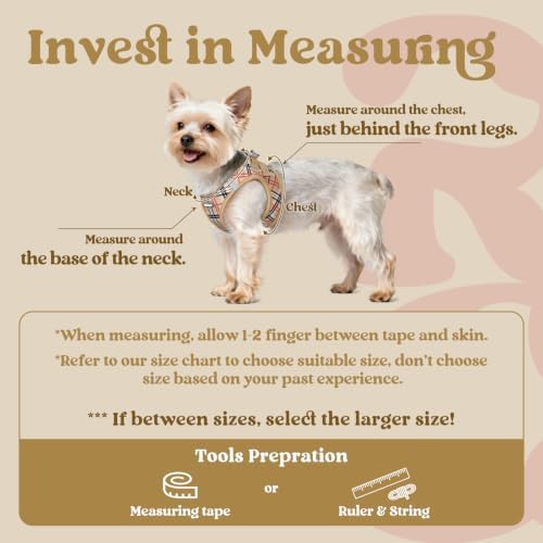 rabbitgoo Step-in Small Dog Harness, Puppy Vest - Image 2