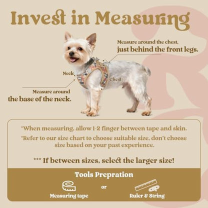rabbitgoo Step-in Small Dog Harness, Puppy Vest - Image 2