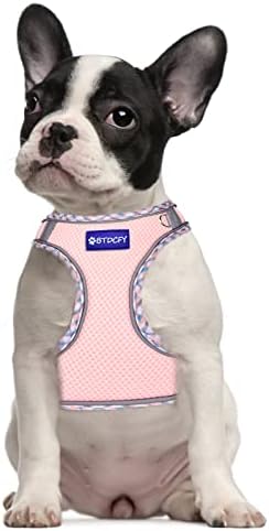 Step in Mesh Dog Harness and Leash Set Breathable Air Mesh Harness - Image 7