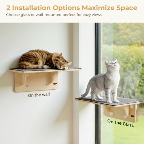 Pecute 2-in-1 Large Cat Window Perch & Wall Shelves, Solid Wood - Image 2