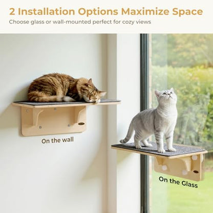 Pecute 2-in-1 Large Cat Window Perch & Wall Shelves, Solid Wood - Image 2