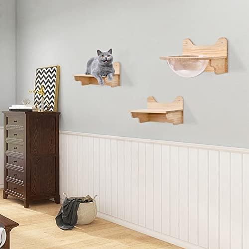 Wall-Mounted Wooden Cat Space Clear Capsule, Transparent Capsule - Image 7