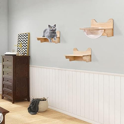 Wall-Mounted Wooden Cat Space Clear Capsule, Transparent Capsule - Image 7