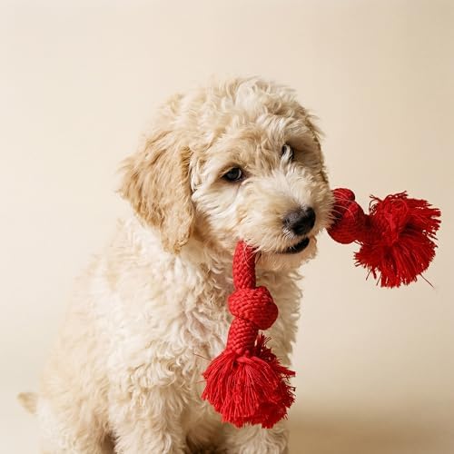 Playology Tug Rope Dog Toys for Medium Dogs - Image 3