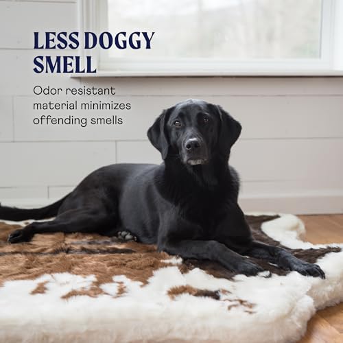 PupRug Orthopedic Dog Bed for Large Dogs - Image 6