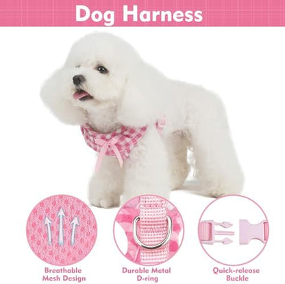 EXPAWLORER Step-in Dog Harness Small Sized Collar and Leash Set - Image 2