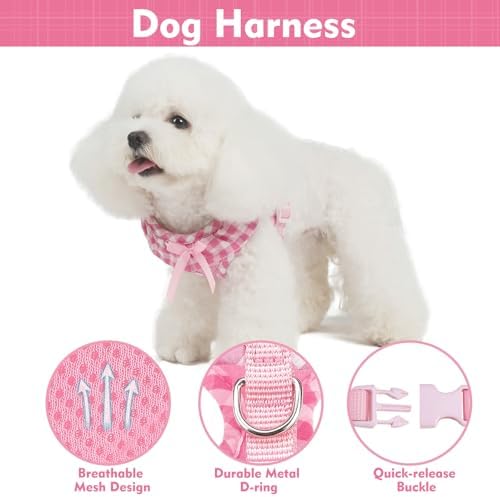 EXPAWLORER Step-in Dog Harness Small Sized Collar and Leash Set - Image 2