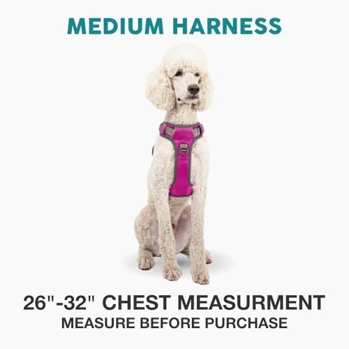 Embark No Pull Dog Harness, Reflective Adjustable Training Vest, No Choke - Image 2