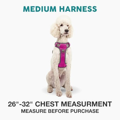 Embark No Pull Dog Harness, Reflective Adjustable Training Vest, No Choke - Image 2