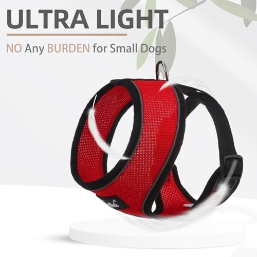 PUPTECK Small Dog Harness and Leash Set No Pull - Image 5