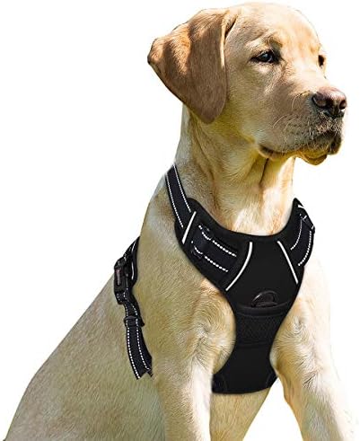 BARKBAY Dog Harness No Pull for Small Sized Dog Front Back Clips, Dog Vest by BARKBAY