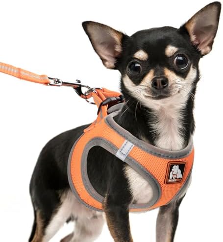 Dog Harness Medium Sized Dogs, Puppy Harness and Leash Set by Unknown
