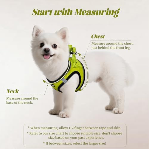 No Pull Dog Puppy Harness and Leash Set Reflective Mesh Vest XX-Small - Image 2