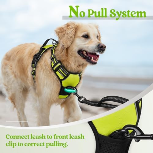 rabbitgoo Dog Harness, No Pull Medium Sized - Image 5
