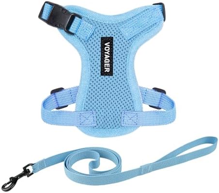 Voyager Step-in Lock Cat Harness & Leash Set by BestPetSuppliesLLC