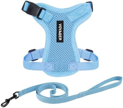 Voyager Step-in Lock Cat Harness & Leash Set by BestPetSuppliesLLC