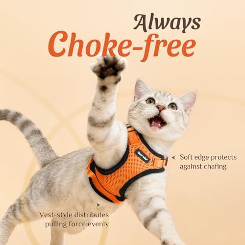 Dooradar Cat Harness and Leash Set, Adjustable and Escape Proof - Image 2