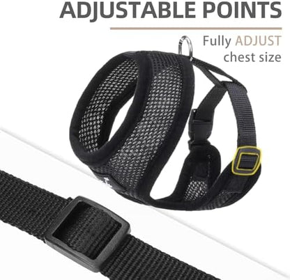 PUPTECK Small Dog Harness and Leash Set No Pull - Image 3