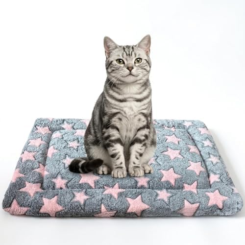 Cat & Dog Bed Mat by Unknown