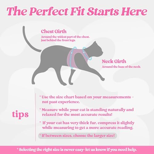 rabbitgoo Cat Harness and Leash Set, Step-in Soft Vest - Image 2