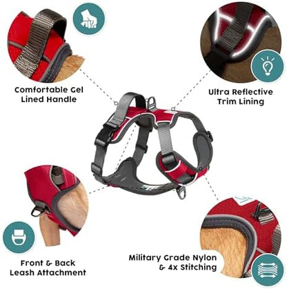 Embark No Pull Dog Harness, Reflective Adjustable Training Vest, No Choke - Image 3