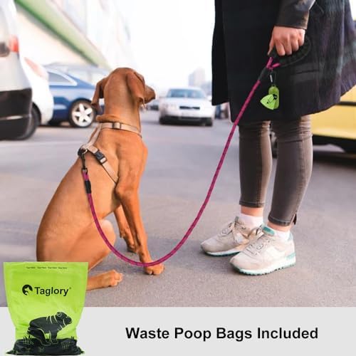 Taglory Rope Dog Leash for Small Medium Dogs, 6 FT Padded Handle - Image 2